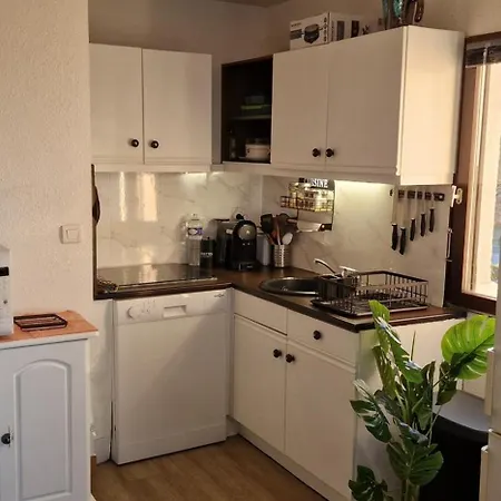 Au Bord De L'eau Mer, Lac, Et Canigou, Climatise, Classe 3 Etoiles ! Apartament