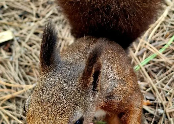 Appartamento Au bord de l'eau mer, lac, et Canigou, Classé 3 étoiles !