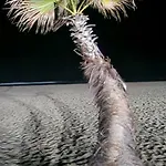 Au Bord De L'eau Mer, Lac, Et Canigou, Climatise, Classe 3 Etoiles !