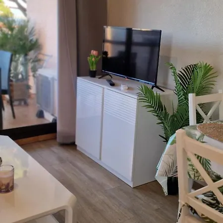 Au Bord De L'eau Mer, Lac, Et Pic Du Canigou, Piscine Et Parking Gratuit, Climatisé, Confort, 4 Personnes Maximum, Classé 3 étoiles ! *