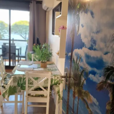 Au Bord De L'eau Mer, Lac, Et Pic Du Canigou, Piscine Et Parking Gratuit, Climatisé, Confort, 4 Personnes Maximum, Classé 3 étoiles ! Appartement Le Barcarès