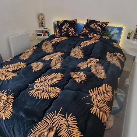 Lejlighed Au Bord De L'eau Mer, Lac, Et Canigou, Climatise, Classe 3 Etoiles !