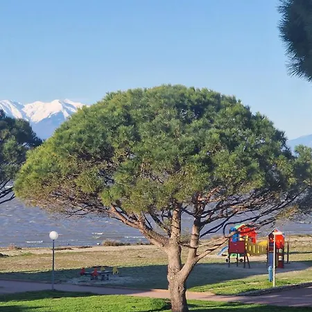Au Bord De L'eau Mer, Lac, Et Pic Du Canigou, Piscine Et Parking Gratuit, Climatisé, Confort, 4 Personnes Maximum, Classé 3 étoiles ! * Le Barcarès