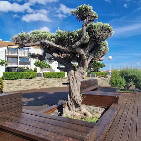 Au Bord De L'eau Mer, Lac, Et Pic Du Canigou, Piscine Et Parking Gratuit, Climatisé, Confort, 4 Personnes Maximum, Classé 3 étoiles ! * Le Barcarès