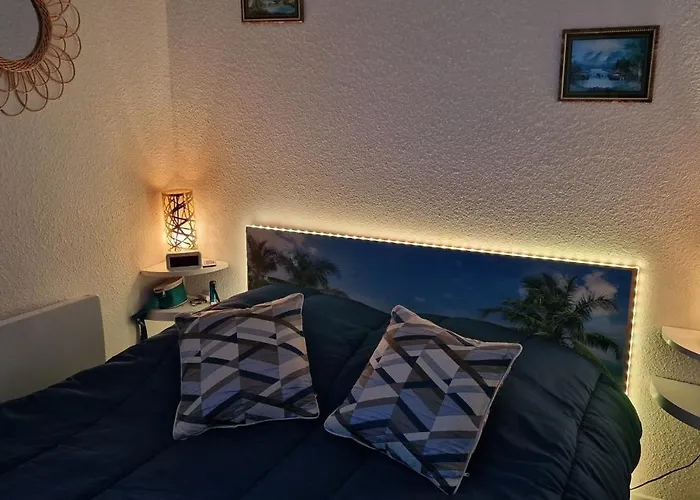 아파트 Au Bord De L'Eau Mer, Lac, Et Canigou, Classe 3 Etoiles ! *