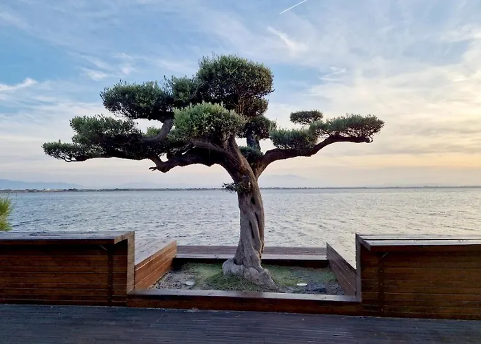 아파트 Au Bord De L'Eau Mer, Lac, Et Canigou, Classe 3 Etoiles ! 르발카레스